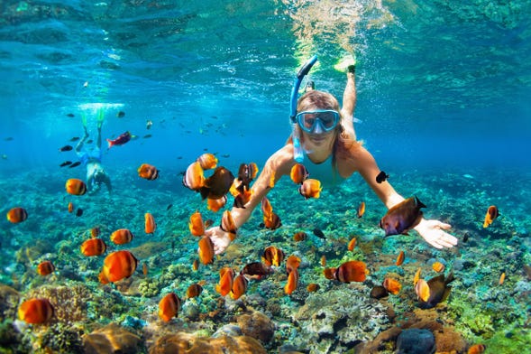 Snorkeling a Bali